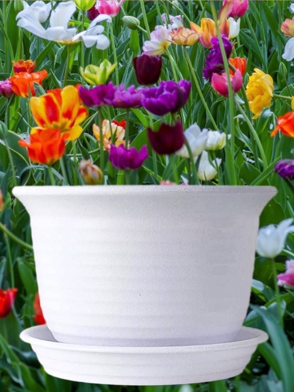 6” White Round Plastic Plant Pot Saucer Drainage Tray – Indoor & Outdoor Planter